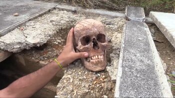 El aumento de estas acciones