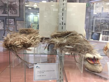 Los extraños zapatos de plumas