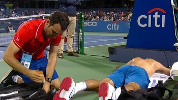 Del Potro debió pedir la