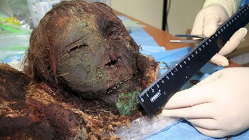 La “princesa polar” fue hallada