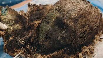 (Instituto Desarrollo del Norte Rusia)