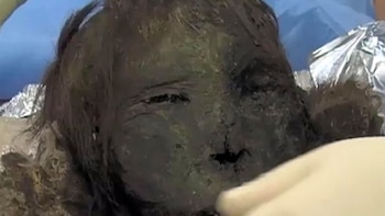 (Instituto Desarrollo del Norte Rusia)