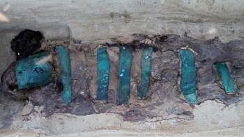 (Instituto Desarrollo del Norte Rusia)