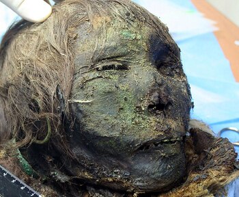 (Instituto Desarrollo del Norte Rusia)