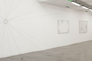 Telarañas “atrapadas” en cuadros.