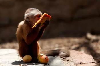 Se ha registrado la muerte