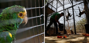 En toda la geografía de