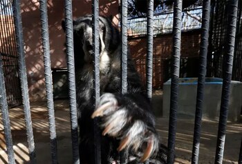 En el Parque Zoológico La