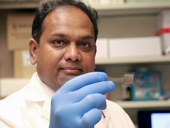 El científico Chandar Sen fue quien dirigió la investigación (Universidad Ohio)