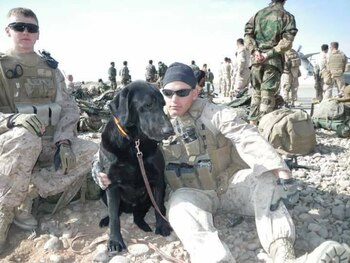 El cuidado de estos dos