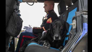 Cena, un perro de la