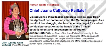 La organización de Bristol, Reino Unido, tutela los derechos humanos en lo los “territorios mapuches”