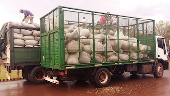 Imagen RBHOYWN2TZCMVPTPVIYP7NLE3Y