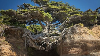 Imagen XHQBPPBJOVBWNPJWTCWVXVVXGQ