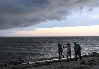 Voluntarios hacen un recuento de