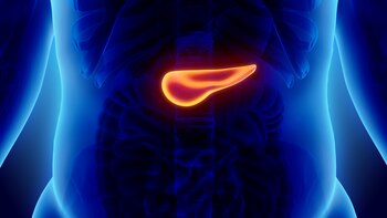 Los investigadores tienen la esperanza