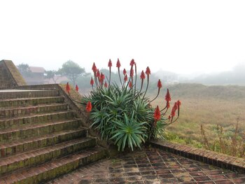 (Foto: Mariano Imperial)