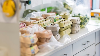 Aunque la comercialización del fipronil