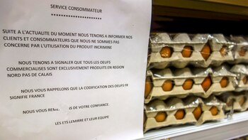 El Gobierno belga acusó a