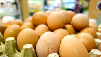 La CE precisó que la