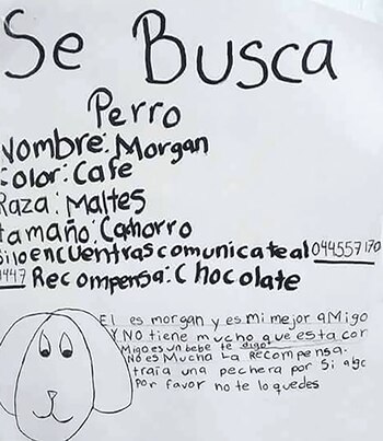 El dibujo que se hizo