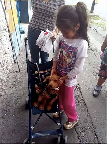 La historia tuvo final feliz