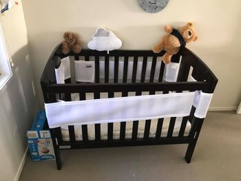 (Foto: Facebook/ Sunshine Coast Snake