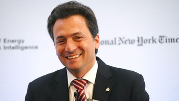 Emilio Lozoya Austin fue coordinador