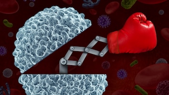 El sistema inmune humano es