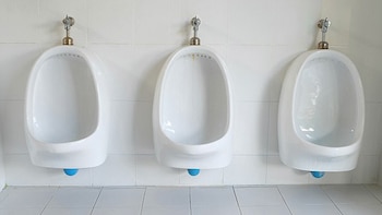 El mingitorio también será optativo