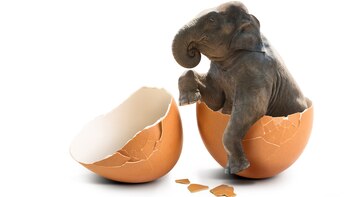 El cambio climático tuvo incidencia