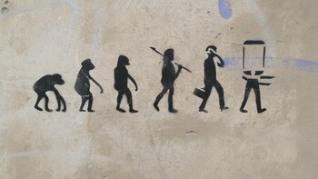 El descubrimiento ayuda a comprender