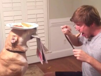 Actualmente cuenta con más de