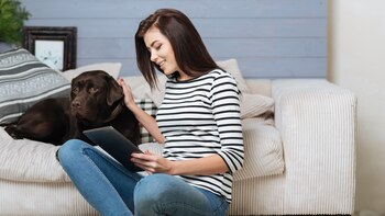 Los perros más que los