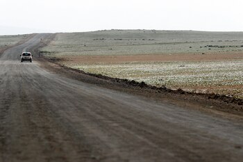 Vista del manto de flores
