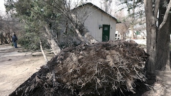 Fabián Ceballos (Télam)
