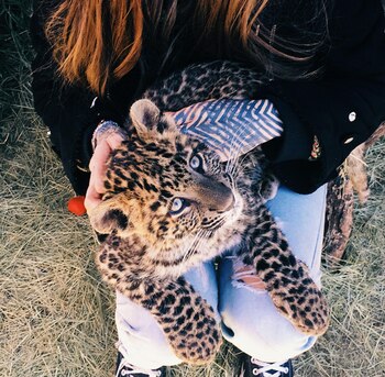 (Crédito: Instagram)