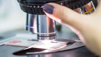 El estudio publicado en la