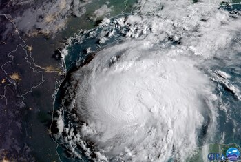 Una foto de Harvey que muestra su gran tamaño.