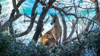 Las maravillas naturales de Australia son infinitas (istock)