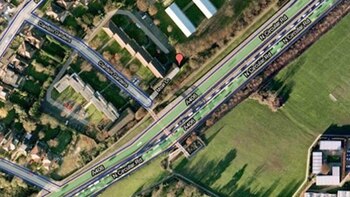 Un bosque que estuvo por