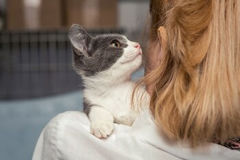 Las personas deben asumir el