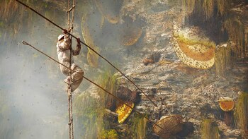 Conseguir la miel es una