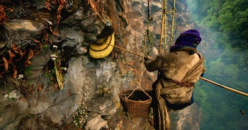 El “arte” de recolectar la