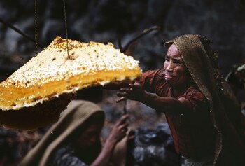 El manjar tiene efectos medicinales
