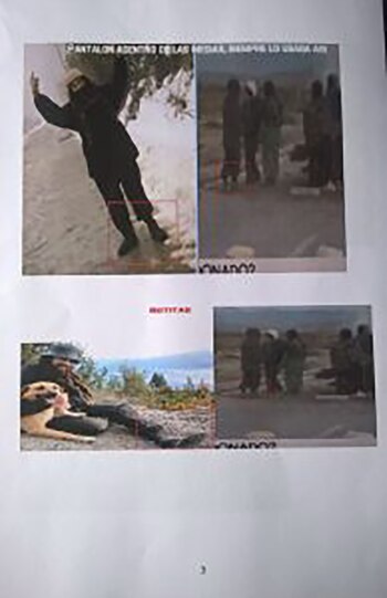 Las pruebas aportadas por la