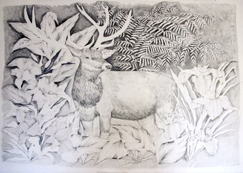 Un dibujo de Cami Villar