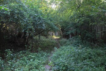 La zona más olvidada de