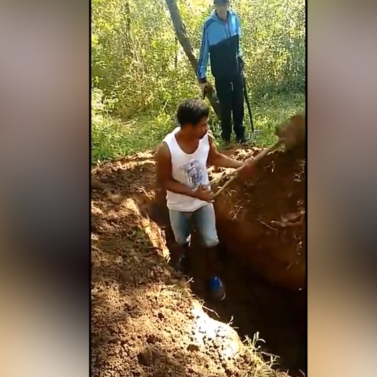 Guerra narco en Brasil: cavaron su propia fosa, los acribillaron, quemaron, y difundieron el video como advertencia - Infobae