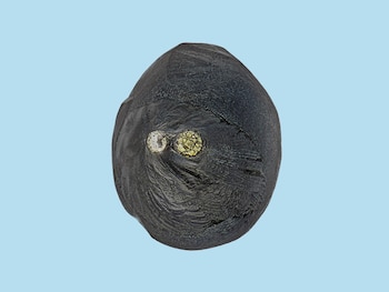 (Foto: Jan Braly Kihle/Jon Larsen)